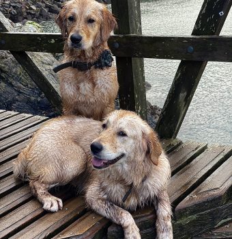 4AFF83D3-F3FD-49E5-8B9E-907364EFDF44