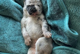 4E037A12-1FAE-4FC7-8E7D-667F689E7607