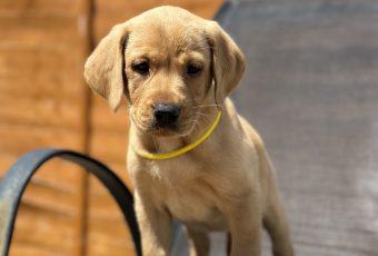 820F6FB3-3921-4B94-88A2-D60206E67441