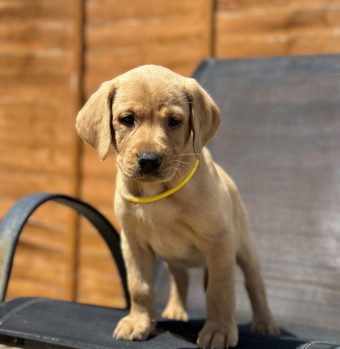 820F6FB3-3921-4B94-88A2-D60206E67441