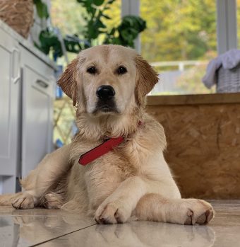 B37F500E-6396-4676-BB73-F9F466191DC8